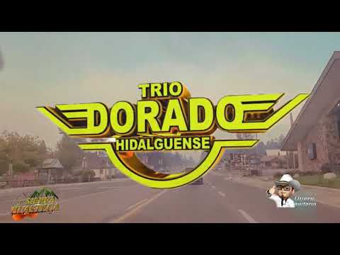 Trio Dorado Hidalguense 🎻🎻Tengo Claro 🎶🎶Sierra Huasteca