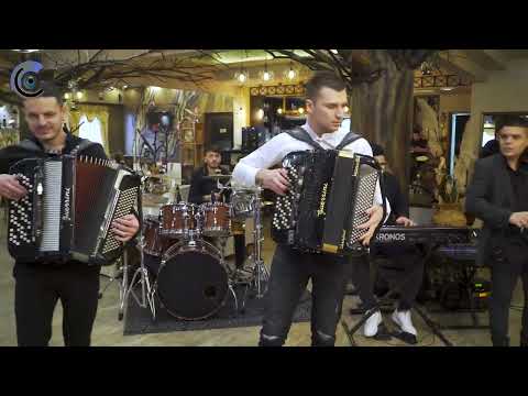 Nikola Lukic i AJKULE 🦈 Splet kola