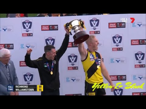 2019 VFL Grand Final Richmond Vs Williamstown