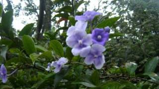 The power of love - Agua de annique