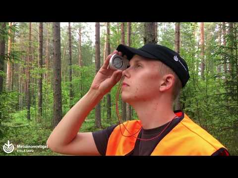 Puunmyyntisuunnitelman laadinta