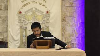 דף היומי מסכת יומא דף ח' מפי הרב יחיאל כהן