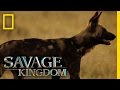 Teemana and Molao: The Formidable Hunters | Savage Kingdom