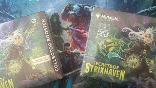 Super sweet deal at Walmart! Omega Secret of Strixhaven collectors for MSRP whoop whoop!