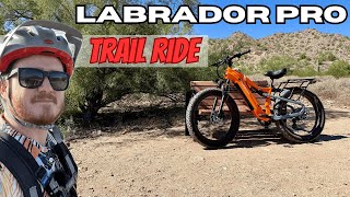 Puckipuppy Labrador Pro E-Bike Trail Test: How it Performs on Rough and Rocky Terrain