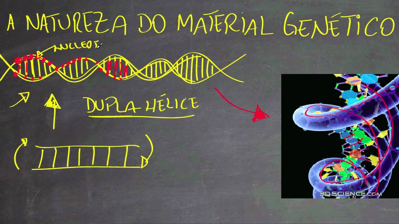 Natureza do Material Genético