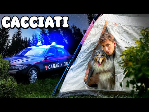 I take my dog ​​FISHING…what happens is AMAZING!