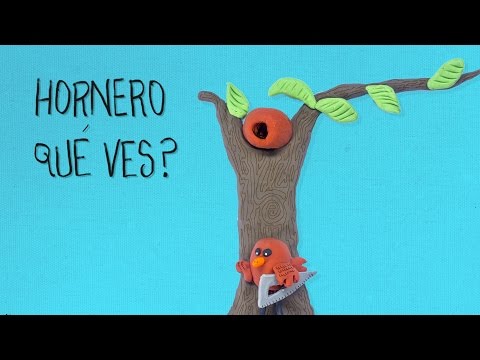 Hornero ¿qué Ves? video