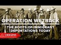 Operation Wetback: The Roots of Immigrant Deportations Today
