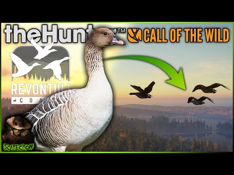 BEAN GOOSE Coming With FINLAND! Revontuli Coast New Species! Call of the wild
