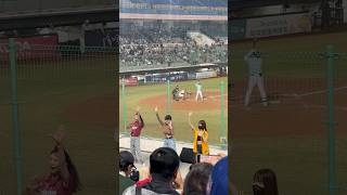 【TeamTaiwan】#台灣尚勇 #冬季聯盟@斗六棒球場 20241130 #台湾チア #啦啦隊  #cheerdance #cheerleader #cpbl #awb