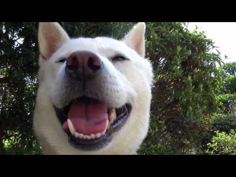 {$row[$i]['name'], ENT_QUOTES,'utf-8'); ?>