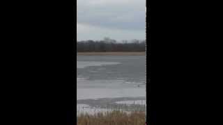 preview picture of video 'Montgomery Lake-Salem, Wisconsin Winter Fish Kill'