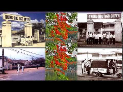 Con đường có hàng phượng tím Sheet - Hiếu Phương