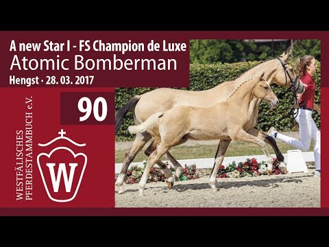 90 Atomic Bomberman  Hengst v. A new Star I - FS Champion de Luxe