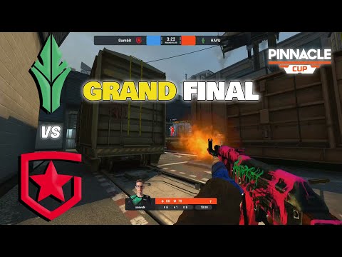 Gambit vs. HAVU - HIGHLIGHTS | Pinnacle Cup 2021 | CSGO