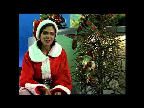 [RBS TV] - Jornal do Almoço relembra trajetória jornalística de Cristina Ranzolin - 28/10/2015