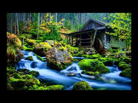 NAGOOR HANIFA UMMAI ORU POTHUM NAAN MARAVEN