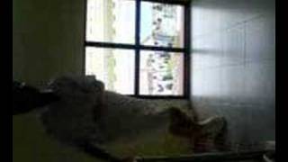 Shuffling self-practice.