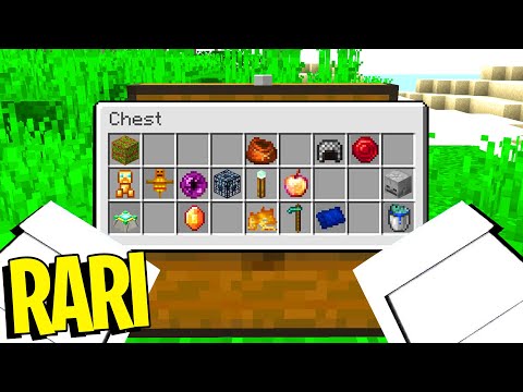 CERCO GLI OGGETTI PIÙ RARI DI MINECRAFT - MINECRAFT ITA