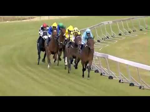 Legal Eagle - 2018 Green Point Stakes(Gr2)