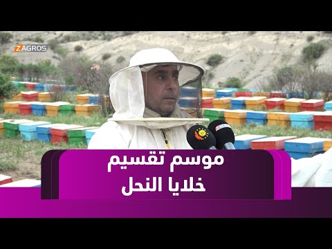 فيديو | تقرير دهوك 2994841