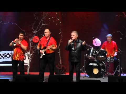 Rdeči dečki - Rokenrol smo špilali (MGNZ 2014)