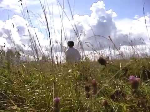 party【2002年作品】