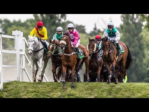 Sledujte Zlatý pohár. Pardubické dostihy opět ŽIVĚ