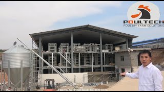 Download lagu High Quality  H Type Layer Cage Farm 100,000 Chickens From Poul Tech Poultry Equipment mp3