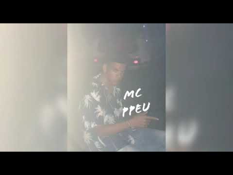 Mc Ppeu 220 medleyzao pesadão (prod. oficialdbeatz)