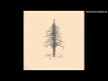 Pedro The Lion - I heard the bells 