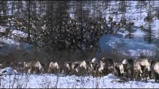 Running Wild - Siberian Winter (Russian fun's video)