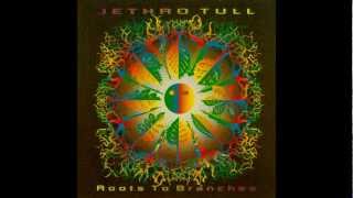 Jethro Tull - Dangerous Veils