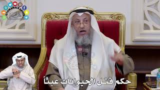1323 - حكم قتل الحيوانات عبثاً - عثمان الخميس
