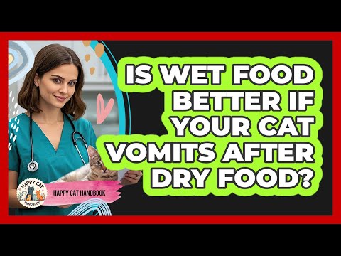 Is Wet Food Better If Your Cat Vomits After Dry Food? - Happy Cat Handbook