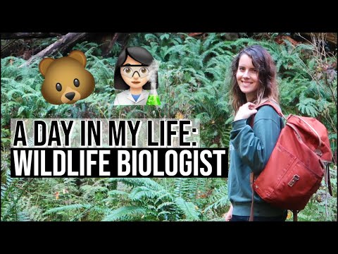 Biologist video 2