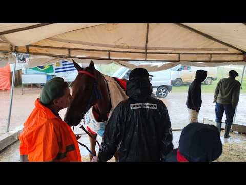 Marcación Raid sobre 58 km en Placido Rosas 📸💯🏇