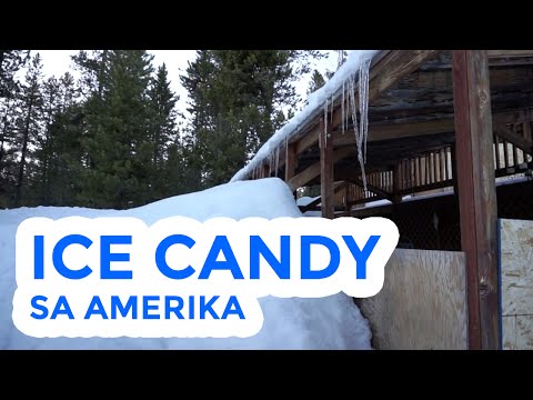 ICE CANDY SA AMERIKA - HEY JOE SHOW