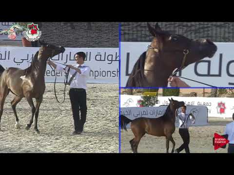 N 147 KAHEELAT AL BUSTAN   Emirates AHBC