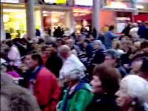 Dave and the Dalmatians - Golubice Ca