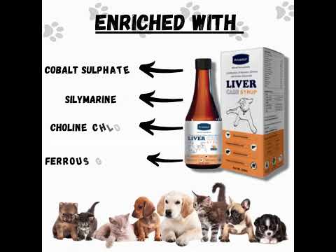 Liver Care Syrup For Pets- Aniamor- Silymarin Syrup-200ml