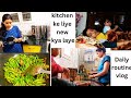 Indian Housewife Daily Routine Vlog Harvesting Beans What New To Bring For The Kitchen
