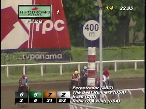 1RA CARRERA DEL DOMINGO 29 DE MAYO DE 2016 HPR