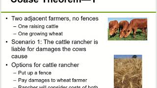 Chapter 7 Market Inefficiencies