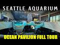 Seattle Aquarium S Ocean Pavilion 2024 Walking Tour Full Walkthrough 4k