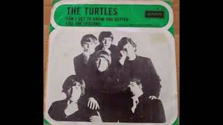 The Turtles - Can I Get To Know You Better