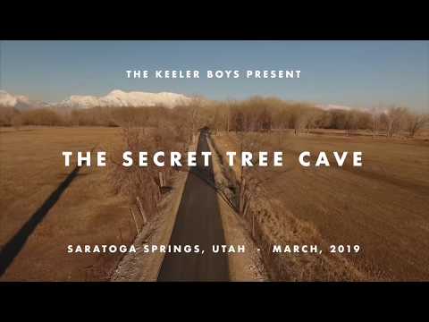 The Secret Tree Cave