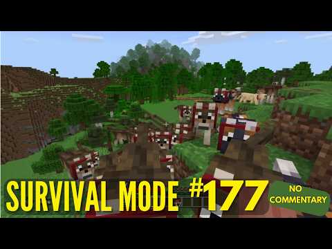 Minecraft Survival Mode, Episode 177 No Commentary