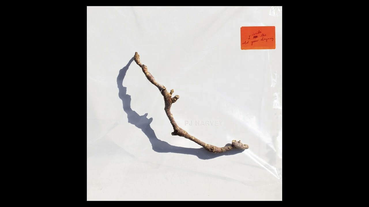 PJ Harvey - August